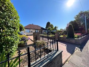 Photo 2- click for photo gallery